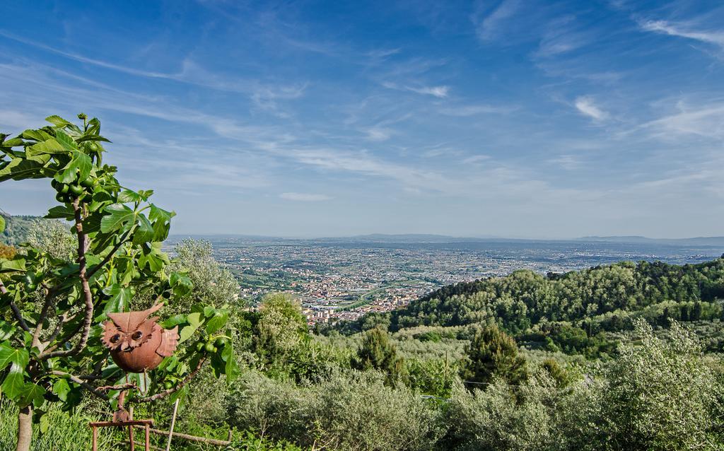 Podere"Sulle Soglie Del Bosco" Appartament And Rooms Pescia Exterior photo